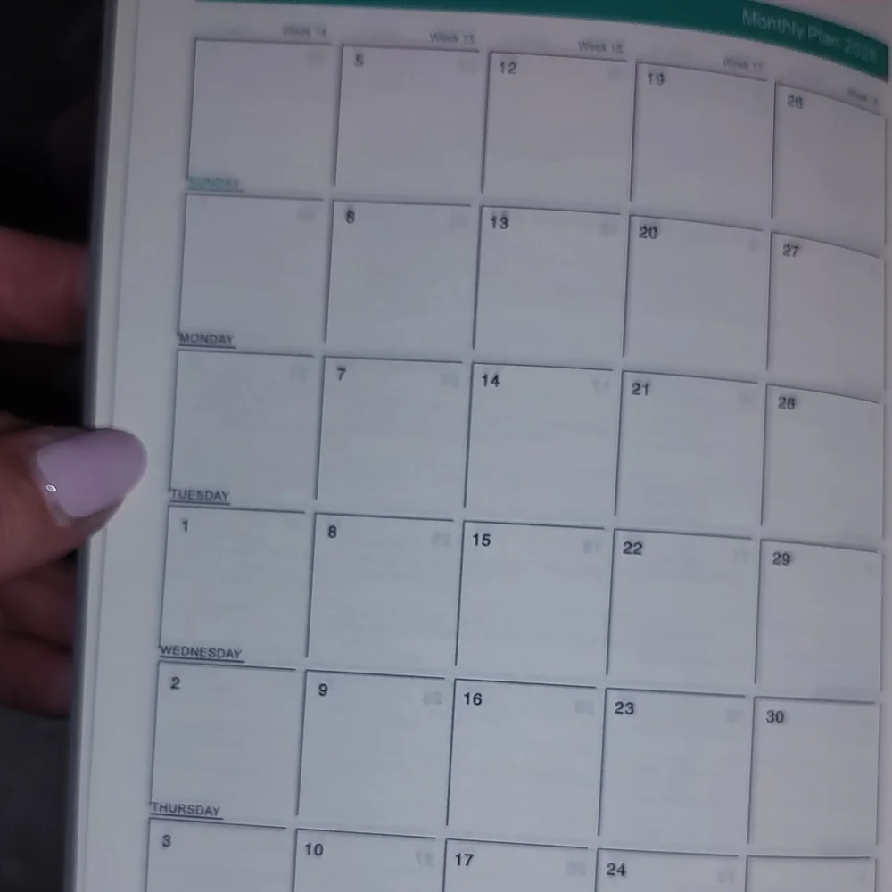 Gray Schedule Notebook with Gothic Illustration